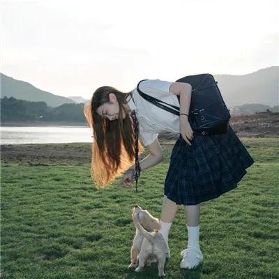 冬狮(电视剧)