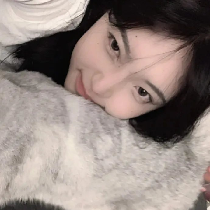 京都之夏